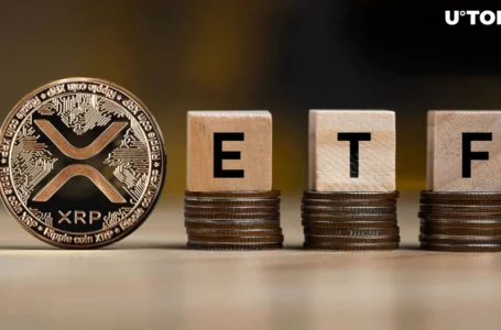XRP ETF in 2025? Community Is Divided in Opinions