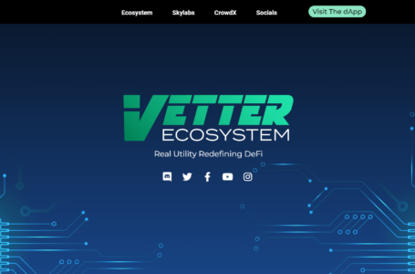 Vetter Skylabs Coin Review: All To Know About