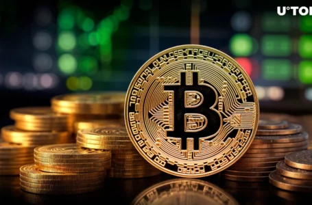 Most Important Bitcoin (BTC) Chart Made All-Time High, Here’s What It Means
