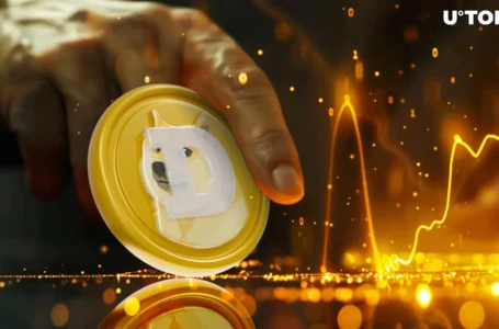 6.52 Billion Dogecoin (DOGE) in 24 Hours Reaches Weekly High