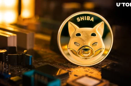 Sharp Warning to SHIB Haters Issued by Shiba Inu Team
