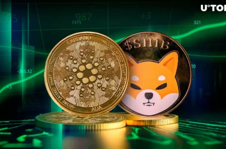 Shiba Inu (SHIB) and Cardano Explode With Whale Activity