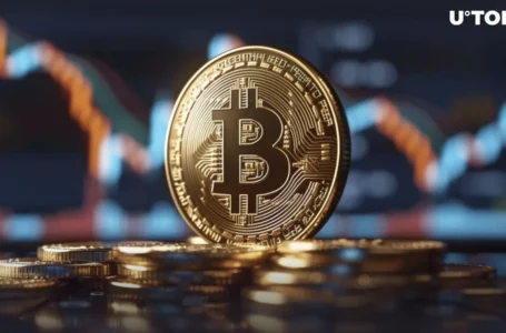 Bitcoin (BTC) Paints Critical Pattern: Is Rally Over?