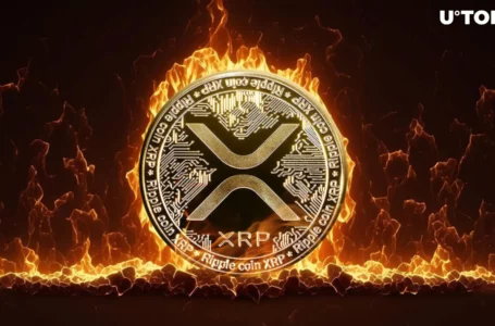 Unusual Coinbase-XRP Burn Trend Spotted On-Chain