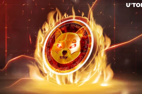 Shiba Inu Skyrockets 3,894% in Burn Rate, Millions of SHIB Vanish