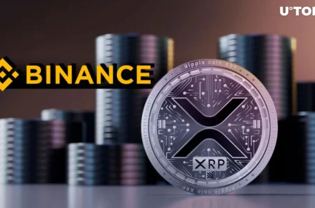 50 Million XRP Mysteriously Withdrawn From Binance in Major Whale Activity