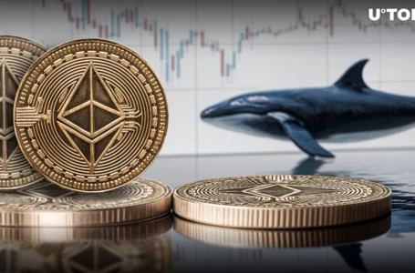 Ethereum Whale Moves $33.55 Million in ETH to Coinbase: Details
