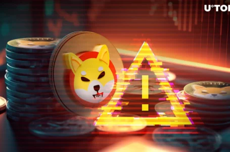 Shiba Inu: Crucial Telegram Alert Issued to SHIB Holders, Here’s Reason