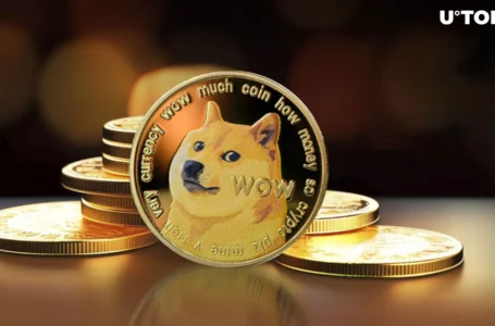 310 Million Dogecoin (DOGE) Disappears into Unknown After Robinhood News Hits
