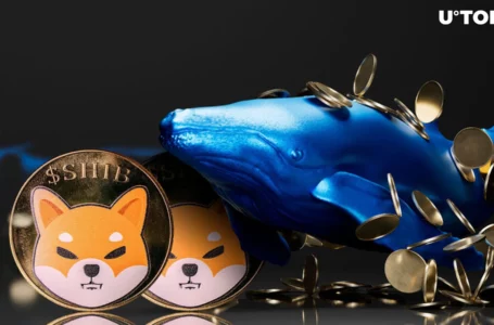 Shiba Inu (SHIB) Volatility Disappears: Are Whales Getting Ready?