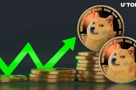 Dogecoin (DOGE) Skyrockets 47% in Volume – What’s Happening?