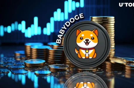 SHIB Rival BabyDoge Scores Major New Milestone, Asset Price Goes Up