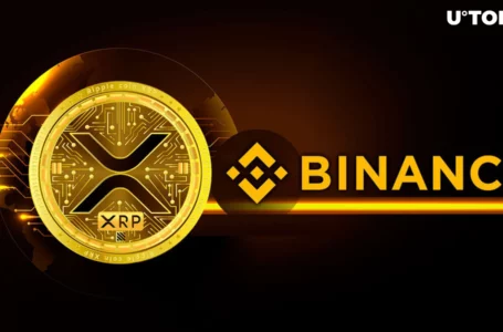 25 Million XRP Push From Binance, Another Whale Sell-off?