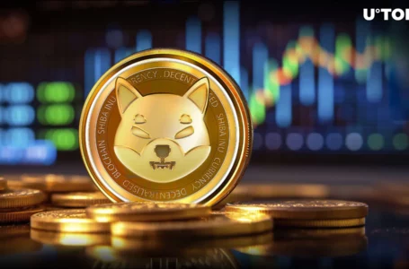 Shiba Inu (SHIB) Skyrockets 2,139% in Fund Flow Metric, Here’s Catch