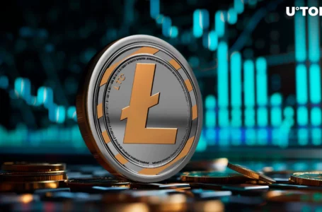 Litecoin (LTC) Outperforms Ethereum (ETH) as Transactions Hit New High