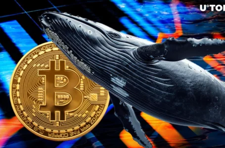 Almost Billion US Dollars in BTC Moved from Exchanges As Price Plunged 5.4%