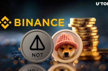 Binance Announces Major New Notcoin (NOT) and Dogwifhat (WIF) Listings