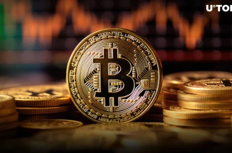 Key Reason Why Bitcoin (BTC) Is Struggling Now