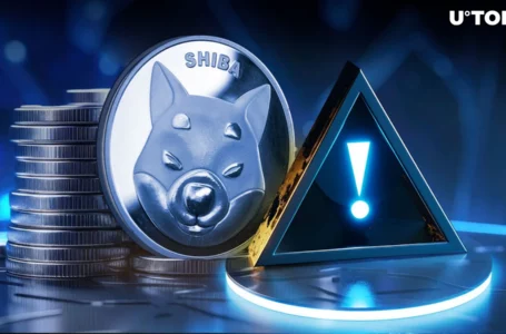 Shiba Inu Insider Shares Crucial Reminder With SHIB Community