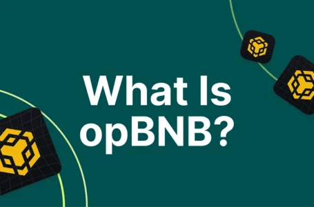 OpBNB Review: All To Know About