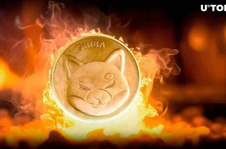 Millions of SHIB Go Up in Smoke as Shiba Inu Burn Rate Skyrockets by 207%