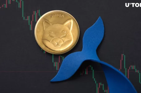 Shiba Inu (SHIB) Loses 84% in Key Metric as Whales Disappear