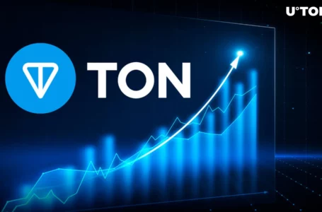 TON Blockchain’s NOT Coin Surges 400% In Last 7 Days: What’s Happening?