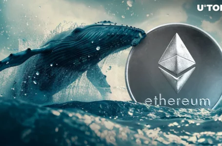 Ancient Ethereum Whale Shifts $32 Million ETH to Major US Exchange: What’s Happening?