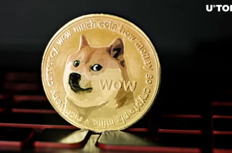 Dogecoin Whales Are Disappearing? What’s Happening With DOGE