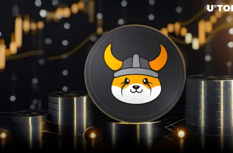FLOKI Dusts SHIB, BONK and PEPE With 15% Rally