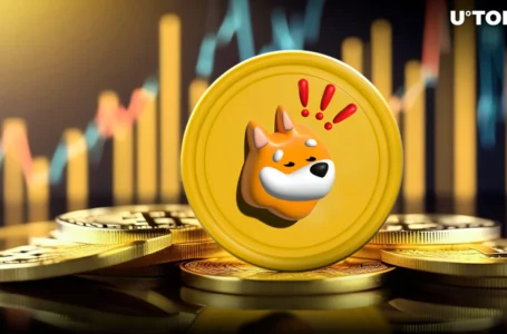 Bonk (BONK) Skyrockets 60% in Volume – What’s Happening?