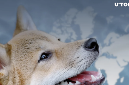 Most Important Day for Shiba Inu (SHIB) Holders Has Arrived