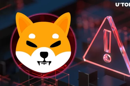 New Scam Warning Issues for Shiba Inu Community