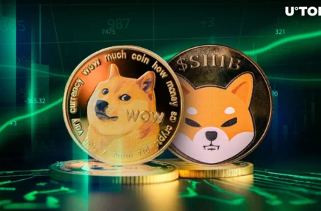 DOGE Surpasses SHIB and Rest of Meme Coins in Key Metric: Details