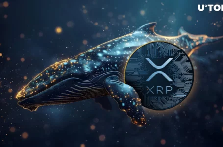 Mega XRP Whale Emerges After 99 Million Token Transfer