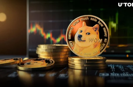118 Million Dogecoin Stuns Major Crypto Exchange: Details