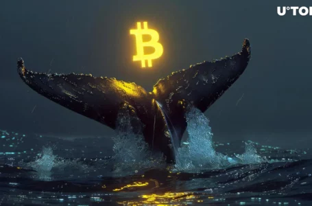 Crazy 231,778% Profit Triggers Epic Whale Awakening