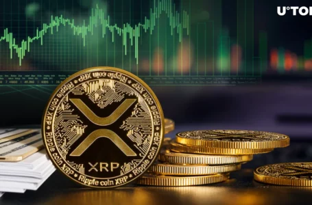 XRP Rockets 70% in Volume as XRP Price Remains Bullish