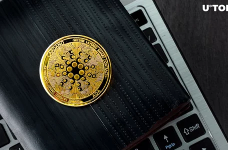 Cardano Welcomes Major Wallet Release Ahead of Chang Hard Fork