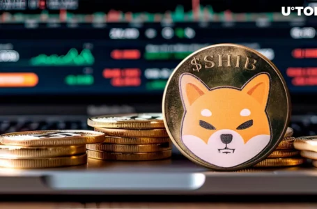 Unexpected Shiba Inu (SHIB) Reset Might Start Soon, Here’s Reason