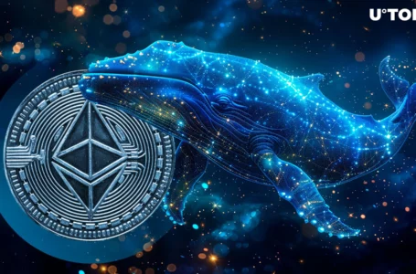 $150 Million in Ethereum Disappear – Do Whales Know Something?