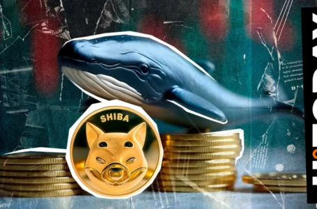 Shiba Inu Plummets 30,045% in Whale Netflows, What It Means
