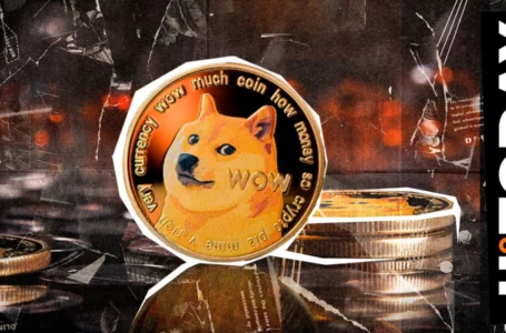 Dogecoin (DOGE) Hit by Rare On-Chain Anomaly: What Happened?