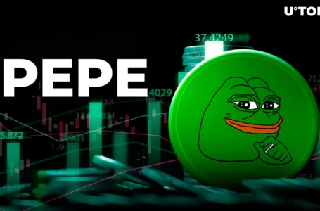 Pepe Demolishes SHIB in Key Metric
