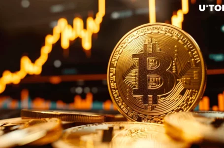 5 Signs Bitcoin Bull Run Is Coming This September