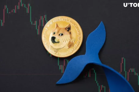 Dogecoin (DOGE) Whales Disappear as September Comes