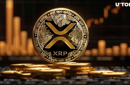$868 Million in XRP in 24 Hours, Are Whales Coming Back?