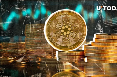 Cardano Taps 264% Surge in Netflows, Will ADA Price Start Moving?