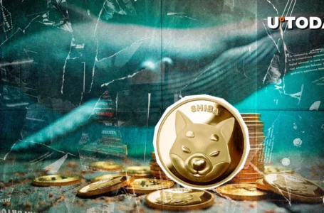Shiba Inu (SHIB) Witnesses Mysterious $2 Million Whale Activity on Major US Exchange