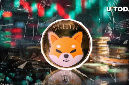 Shiba Inu Next in Line for Whale-Induced Rally, Here’s Why